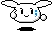 Cute Rabbit