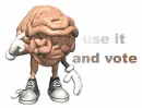 vote