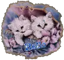 Hello