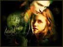The Lion & The Lamb