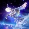 beautiful unicorn