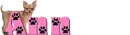 Chihuahua Name Tag with Ann