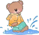 Bear in puddle