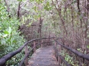 Path
