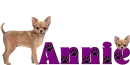 Dog Name Tag with Annie