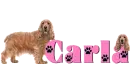 Dog Name Tag with Carla
