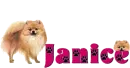 Dog Name Tag Janice