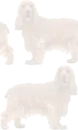 Cocker-Spaniel Background