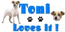 Jack Russel with Toni Loves it