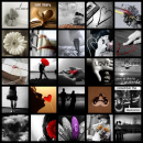 remember the memories, love