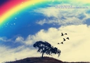 dream...