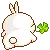 mashimaro
