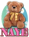 Teddy Bear- Naye