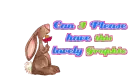 Bunny with flower