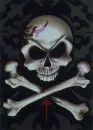 skull