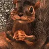 Squirel