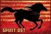 spirit stallion