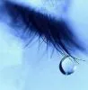 Teardrop