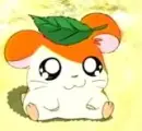 hamtaro