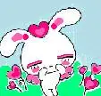 Happy Rabbit2