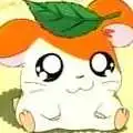 hamtaro