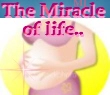 THE MIRACLE OF LIFE