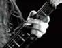 dimebag