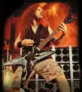 pantera