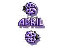 purple traveling ladybugs april