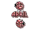 red traveling ladybugs april