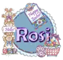 Rosi ... bunny stuff!