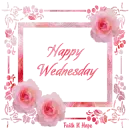 Happy Wednesday