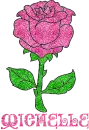 Michelle Pink Rose
