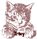 tracy cat