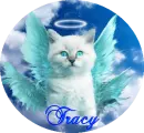 tracy cat