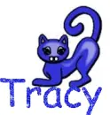 tracy blue cat