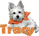 tracy puppy 