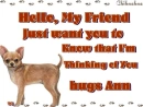 Doggie Notes with hugs Ann