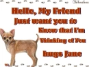 Doggie Notes with hugs Jane