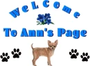 Welcome to Ann's Page