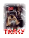tracy puppy with red bow