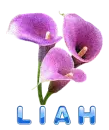 Liah