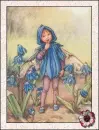 fairy