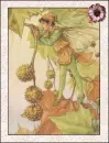 fairy