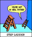 'Step' Ladder