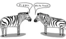 zebra
