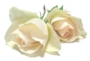 Creme