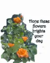orange flower