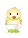 easter chick