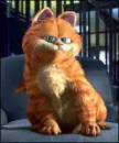 Garfield and Friends